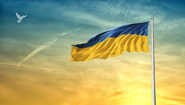 Raccolta umanitaria per l'Ucraina