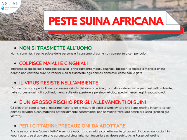 Peste Suina Africana - Indicazioni operative macellazione domestica